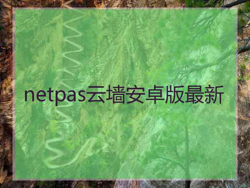 netpas云墙安卓版最新