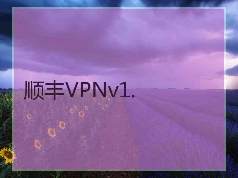 顺丰VPNv1.