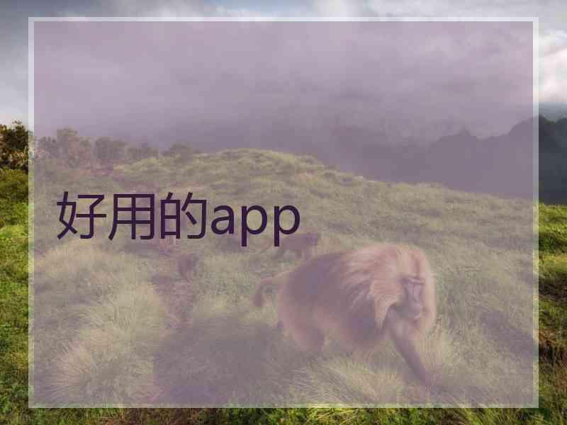 好用的app