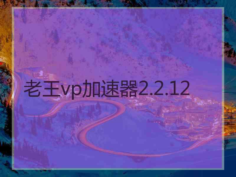 老王vp加速器2.2.12