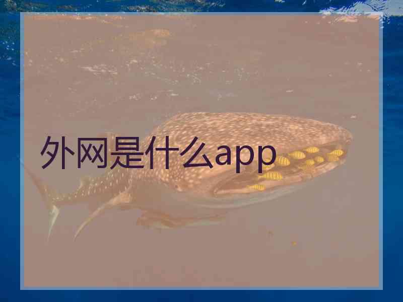 外网是什么app