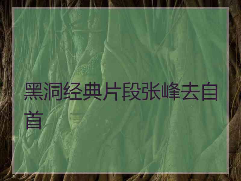 黑洞经典片段张峰去自首