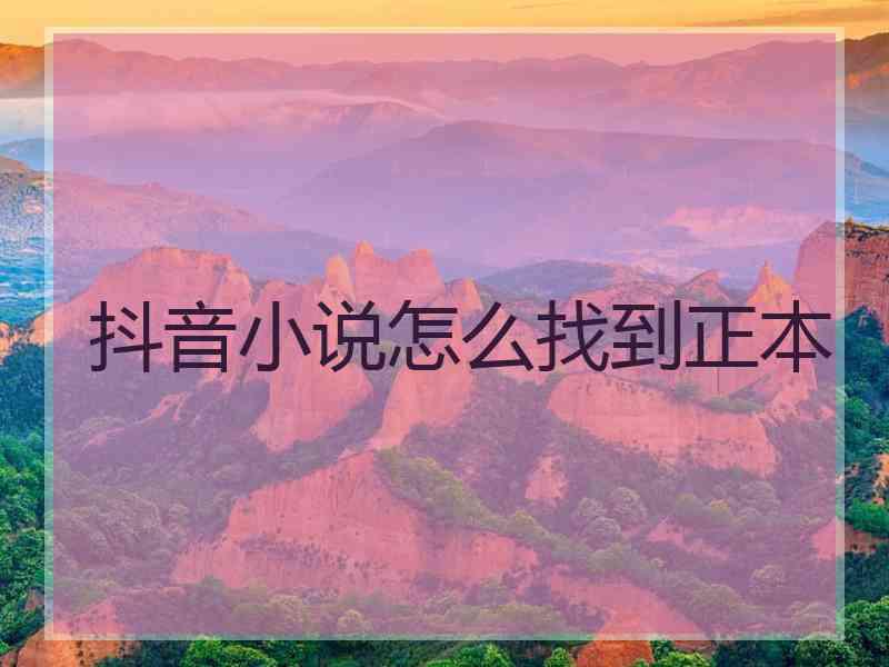 抖音小说怎么找到正本