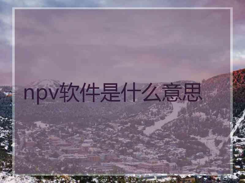 npv软件是什么意思