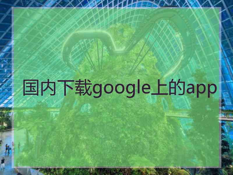 国内下载google上的app