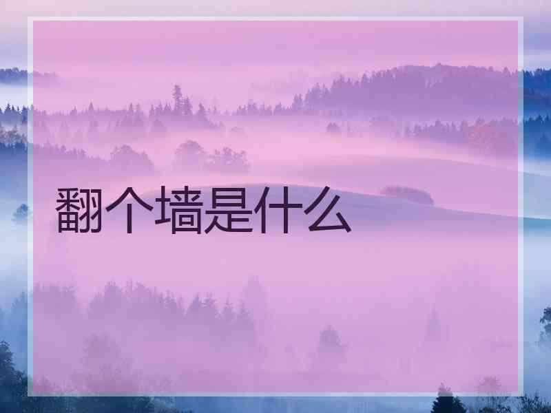 翻个墙是什么