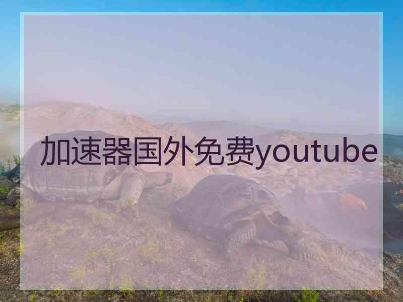 加速器国外免费youtube