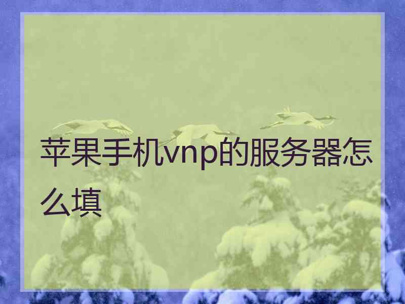 苹果手机vnp的服务器怎么填