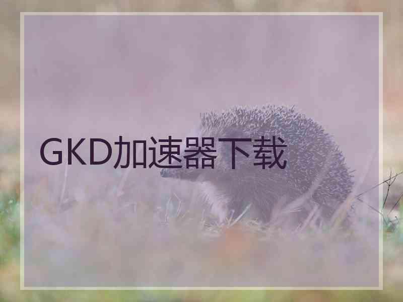 GKD加速器下载