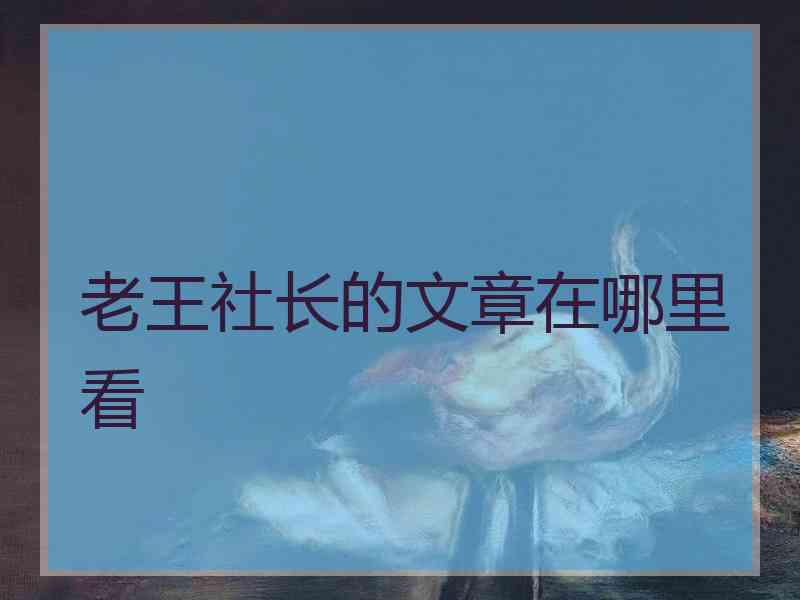 老王社长的文章在哪里看