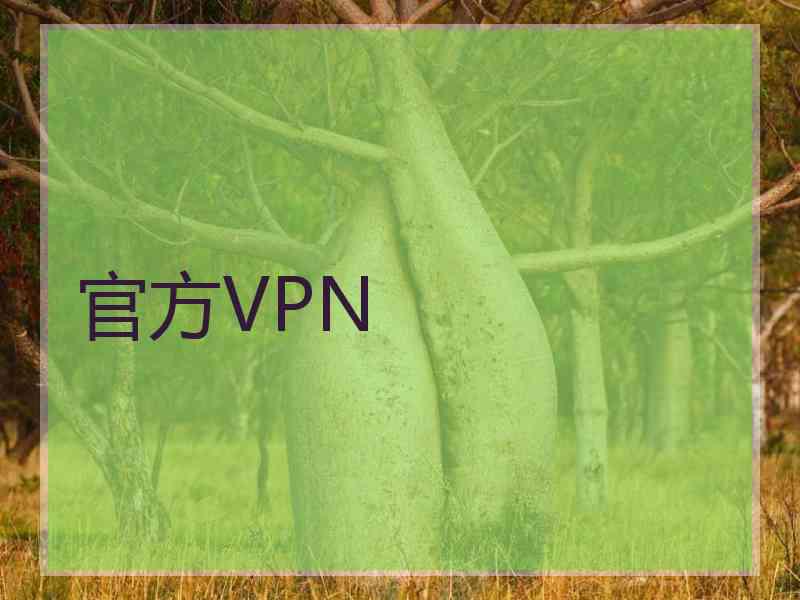 官方VPN