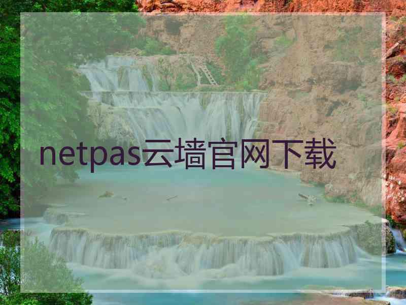 netpas云墙官网下载