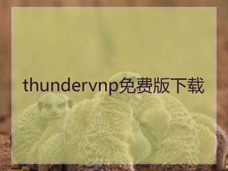 thundervnp免费版下载