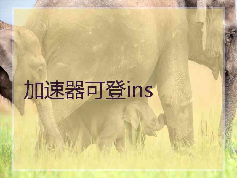 加速器可登ins