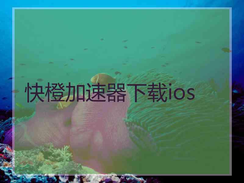 快橙加速器下载ios