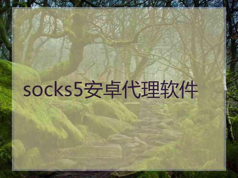 socks5安卓代理软件