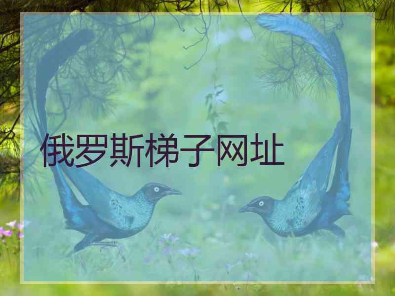 俄罗斯梯子网址