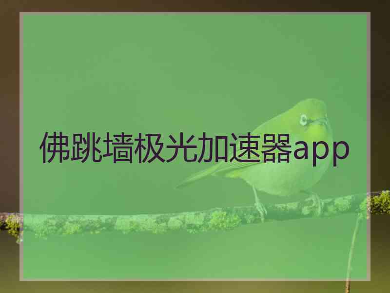 佛跳墙极光加速器app