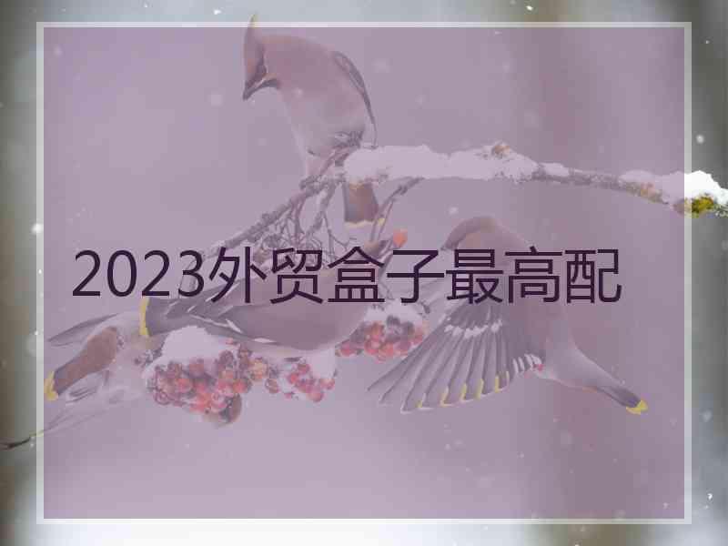 2023外贸盒子最高配