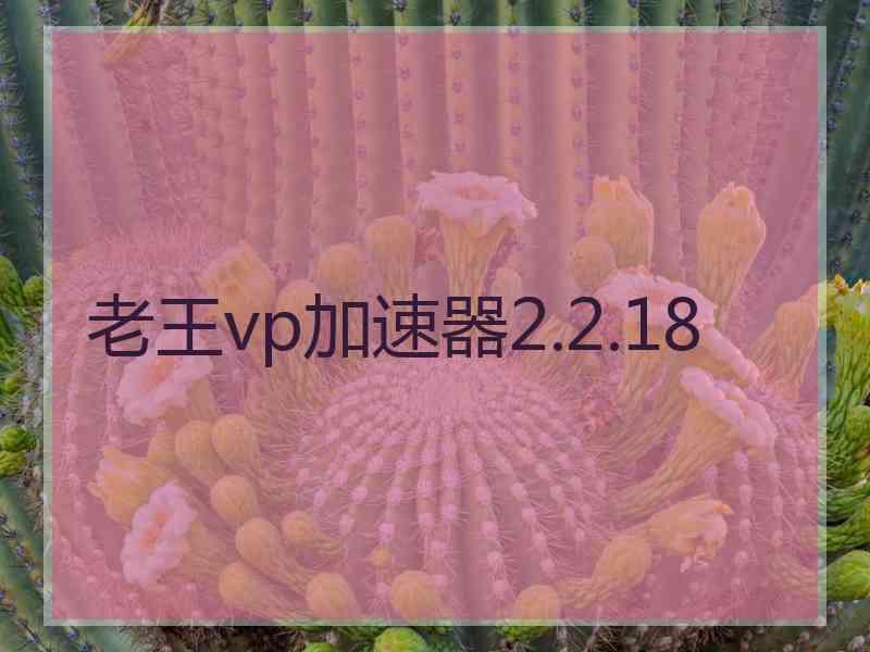 老王vp加速器2.2.18