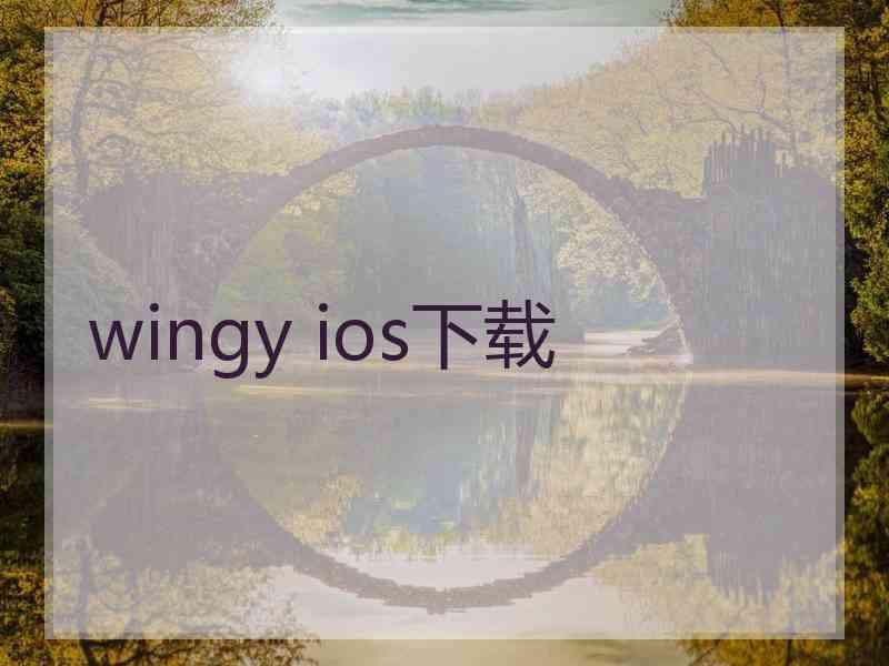 wingy ios下载