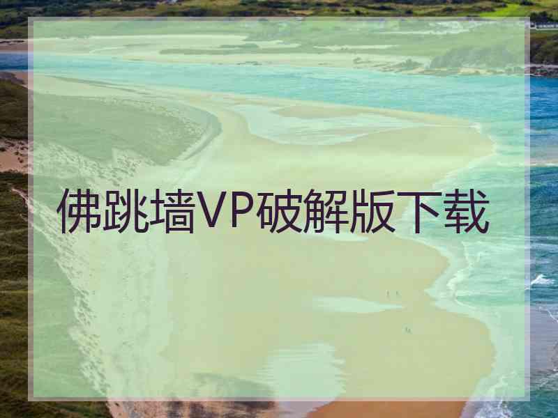 佛跳墙VP破解版下载