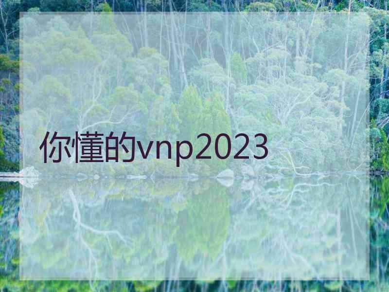 你懂的vnp2023