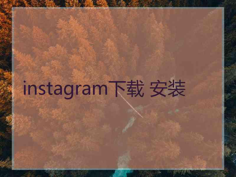 instagram下载 安装