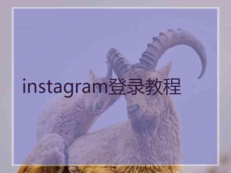 instagram登录教程