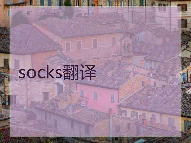 socks翻译