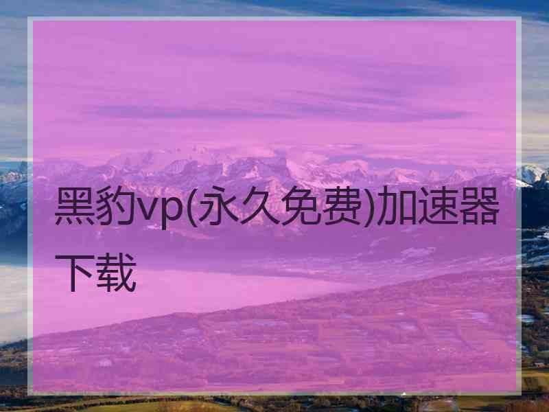 黑豹vp(永久免费)加速器下载