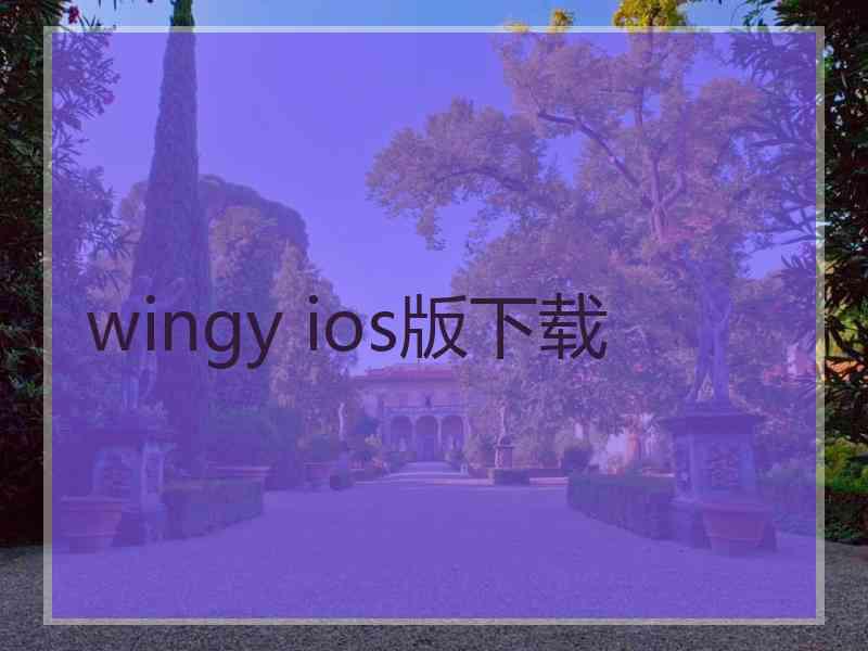 wingy ios版下载