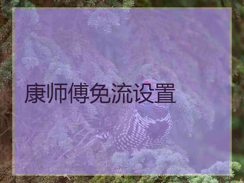 康师傅免流设置