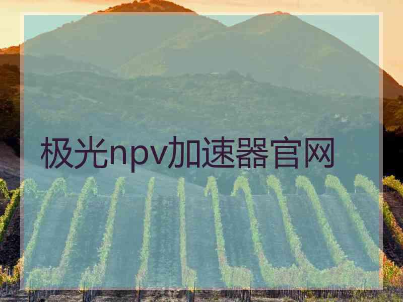 极光npv加速器官网