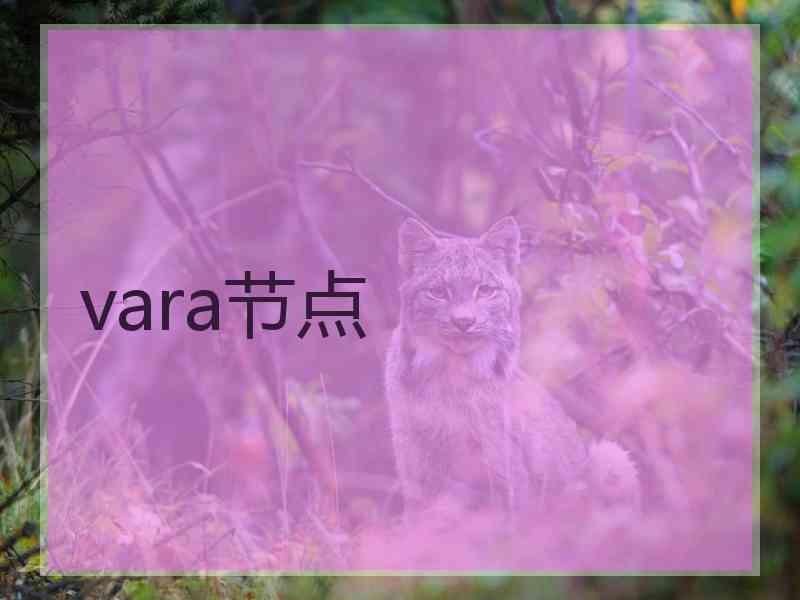 vara节点