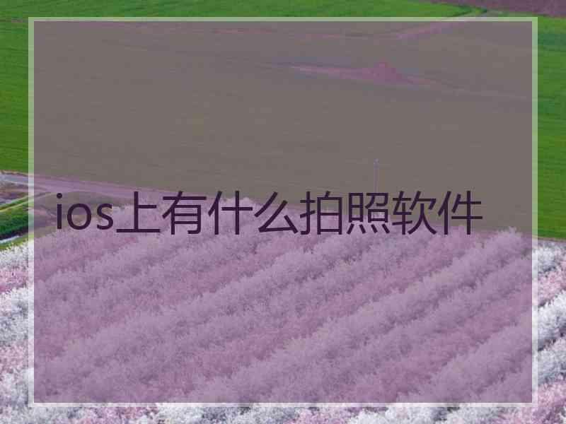 ios上有什么拍照软件