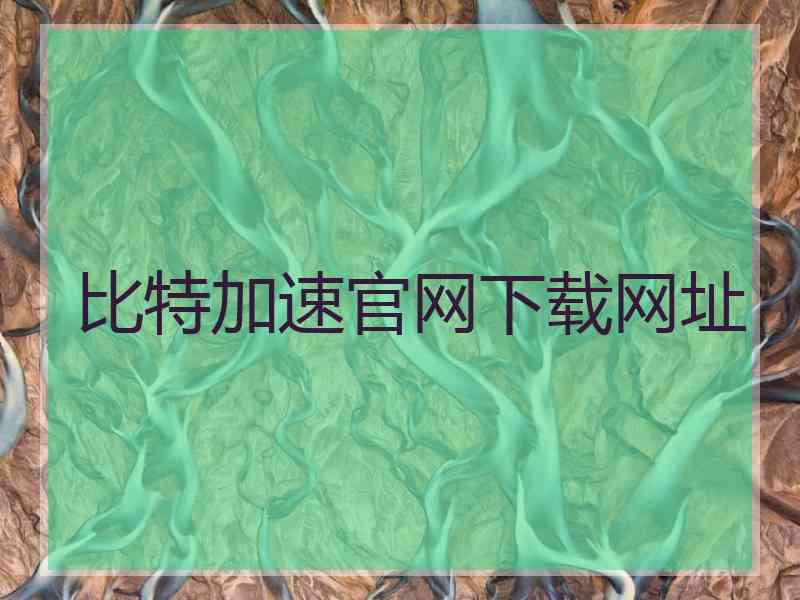 比特加速官网下载网址