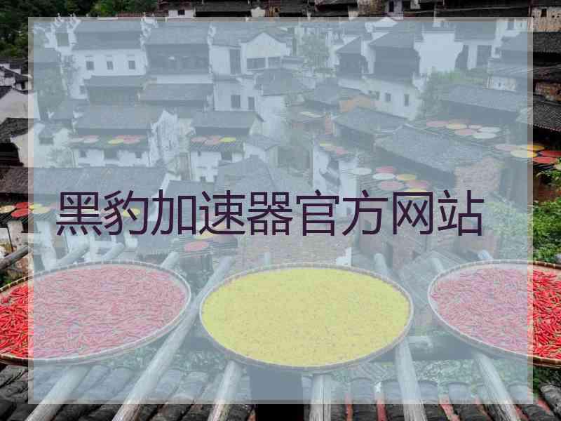 黑豹加速器官方网站