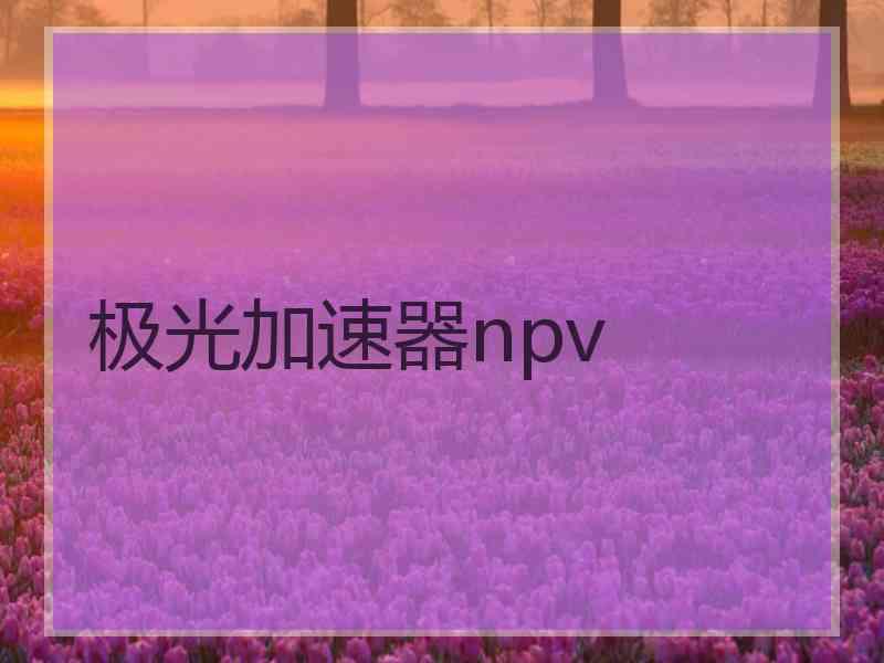 极光加速器npv