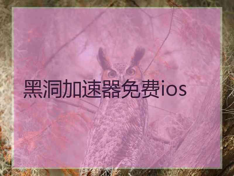 黑洞加速器免费ios