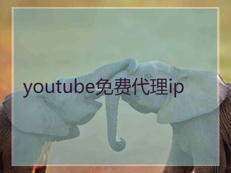 youtube免费代理ip