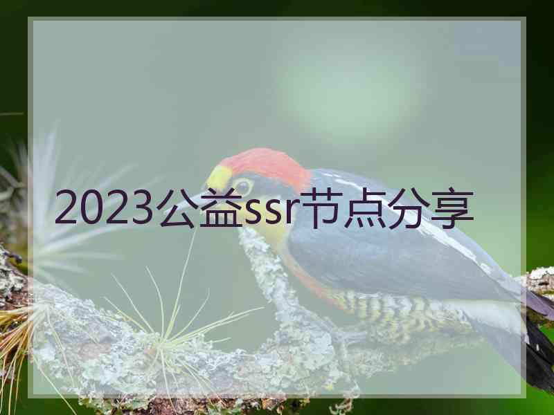 2023公益ssr节点分享