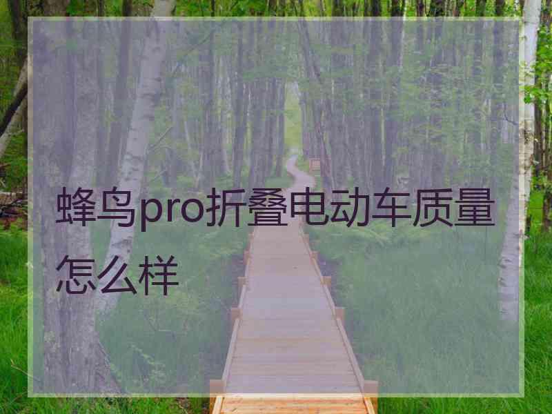 蜂鸟pro折叠电动车质量怎么样