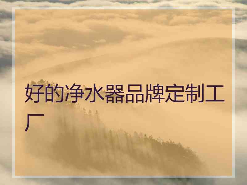 好的净水器品牌定制工厂