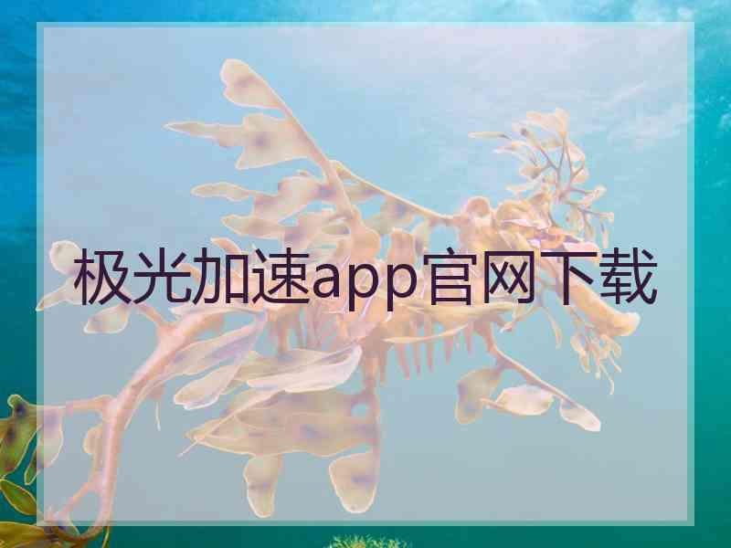 极光加速app官网下载