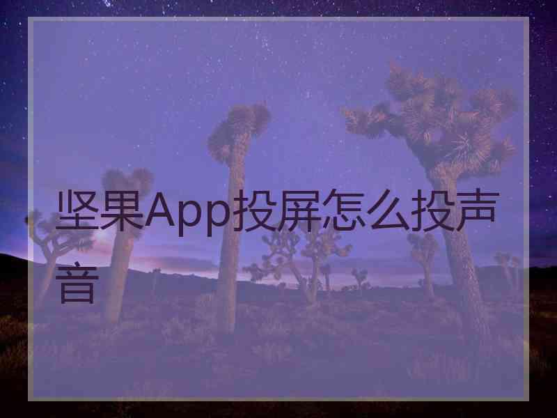 坚果App投屏怎么投声音