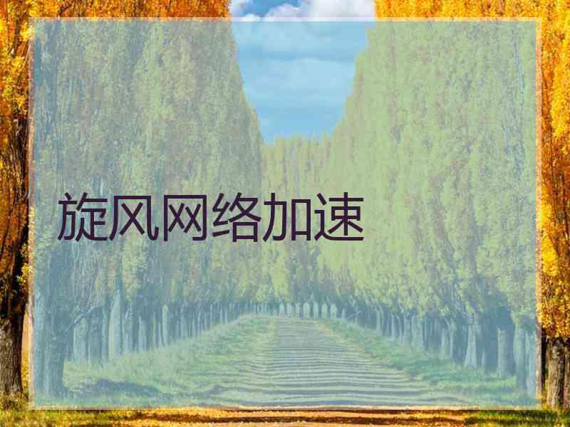 旋风网络加速