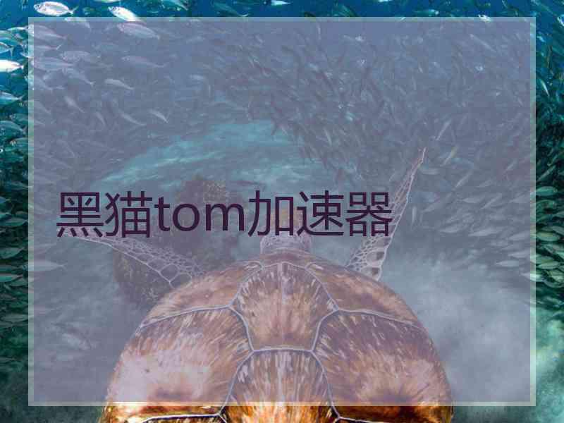 黑猫tom加速器