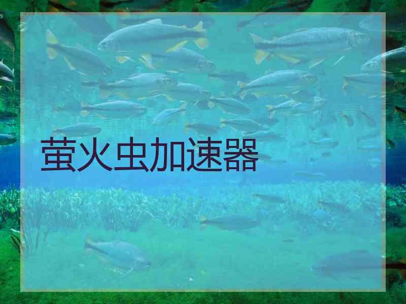 萤火虫加速器