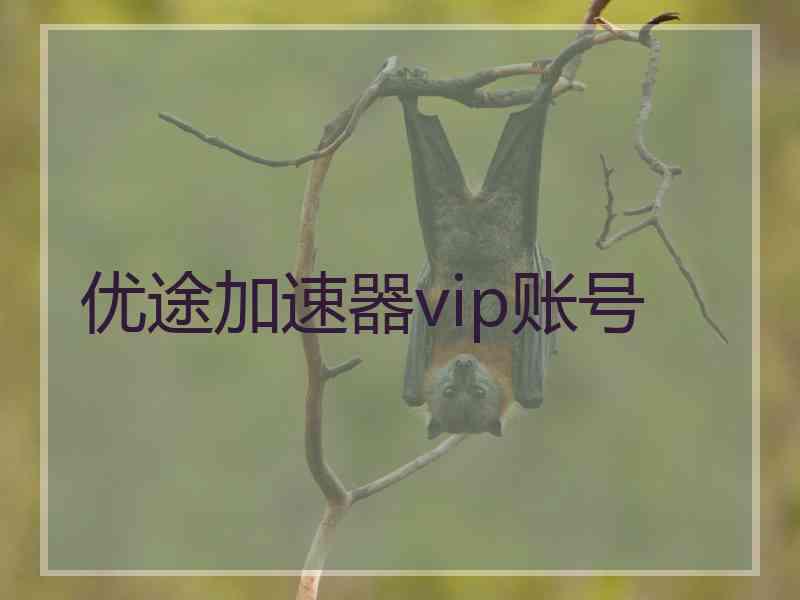 优途加速器vip账号